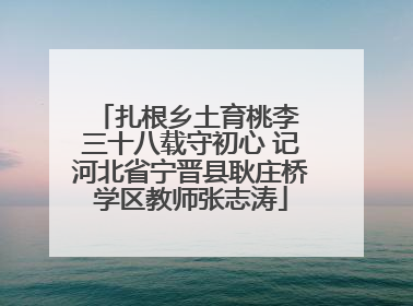 扎根乡土育桃李 三十八载守初心 记河北省宁晋县耿庄桥学区教师张志涛