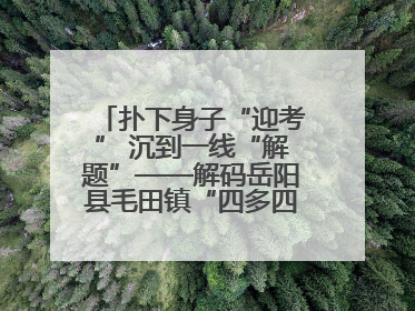 扑下身子“迎考” 沉到一线“解题”——解码岳阳县毛田镇“四多四好”工作法