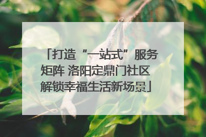 打造“一站式”服务矩阵 洛阳定鼎门社区解锁幸福生活新场景