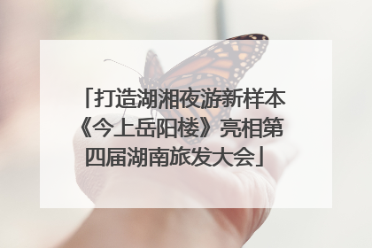 打造湖湘夜游新样本《今上岳阳楼》亮相第四届湖南旅发大会