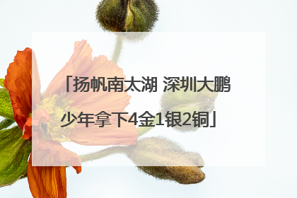 扬帆南太湖 深圳大鹏少年拿下4金1银2铜