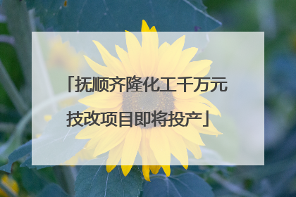 抚顺齐隆化工千万元技改项目即将投产