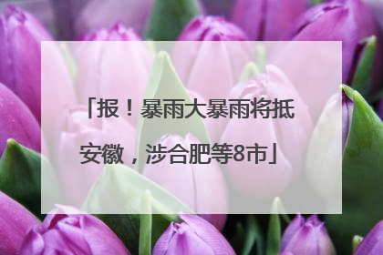 报！暴雨大暴雨将抵安徽，涉合肥等8市