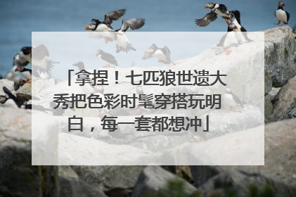 拿捏！七匹狼世遗大秀把色彩时髦穿搭玩明白，每一套都想冲