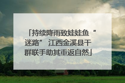 持续降雨致娃娃鱼“迷路” 江西金溪县干群联手助其重返自然