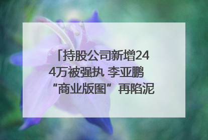 持股公司新增244万被强执 李亚鹏“商业版图”再陷泥潭？｜科技观察