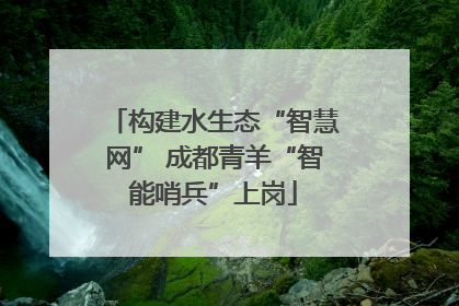 构建水生态“智慧网” 成都青羊“智能哨兵”上岗