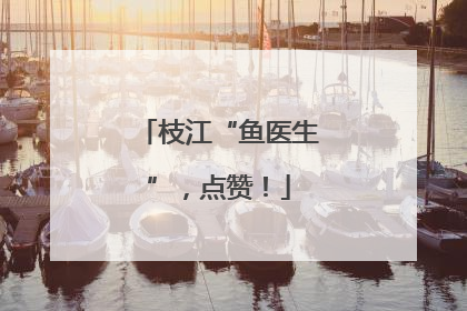 枝江“鱼医生”，点赞！
