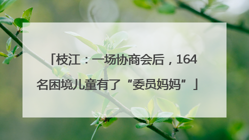 枝江：一场协商会后，164名困境儿童有了“委员妈妈”