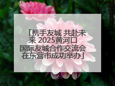 携手友城 共赴未来 2025黄河口国际友城合作交流会在东营市成功举办