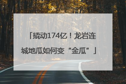撬动174亿！龙岩连城地瓜如何变“金瓜”