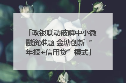 政银联动破解中小微融资难题 金塘创新“年报+信用贷”模式