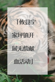 攸县宁家坪镇开展无偿献血活动