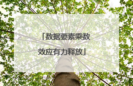 数据要素乘数效应有力释放