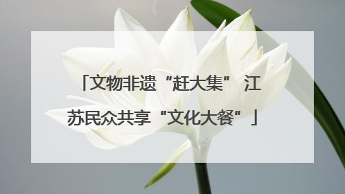 文物非遗“赶大集” 江苏民众共享“文化大餐”