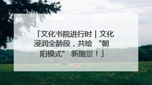 文化书院进行时｜文化浸润全龄段，共绘 “朝阳模式” 新图景！