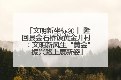 文明新坐标④丨 隆回县金石桥镇黄金井村：文明新风生“黄金” 振兴路上展新姿