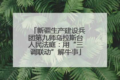 新疆生产建设兵团第九师乌拉斯台人民法庭：用“三调联动”解牛事