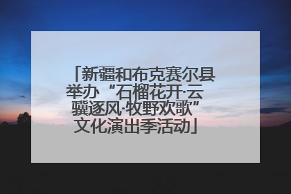 新疆和布克赛尔县举办“石榴花开·云骥逐风·牧野欢歌”文化演出季活动