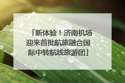 新体验！济南机场迎来首批航旅融合国际中转航线旅游团