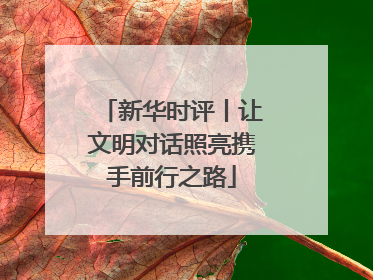 新华时评丨让文明对话照亮携手前行之路