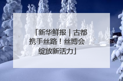 新华鲜报｜古都携手丝路！丝博会绽放新活力