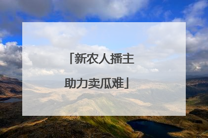 新农人播主 助力卖瓜难