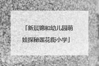 新晨锦和幼儿园萌娃探秘莲花街小学