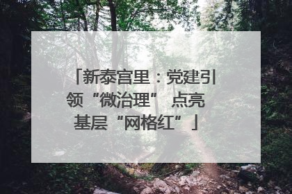 新泰宫里：党建引领“微治理” 点亮基层“网格红”
