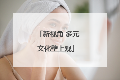 新视角 多元文化壁上观