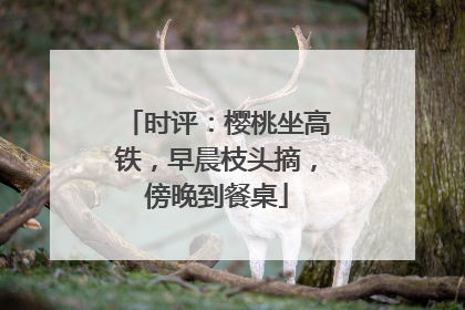 时评：樱桃坐高铁，早晨枝头摘，傍晚到餐桌