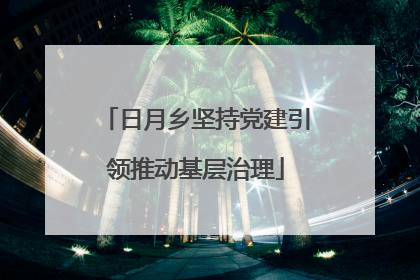 日月乡坚持党建引领推动基层治理