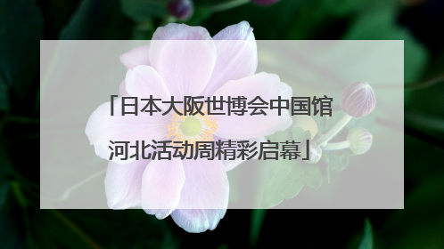 日本大阪世博会中国馆河北活动周精彩启幕