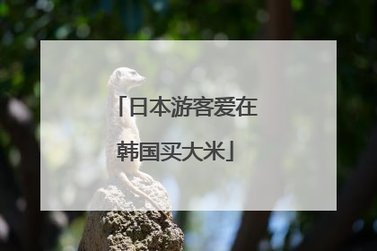日本游客爱在韩国买大米