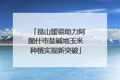 昆山援疆助力阿图什市盐碱地玉米种植实现新突破