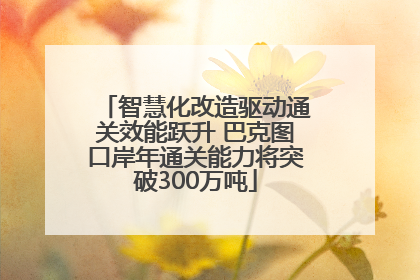 智慧化改造驱动通关效能跃升 巴克图口岸年通关能力将突破300万吨