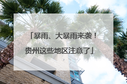 暴雨、大暴雨来袭！贵州这些地区注意了