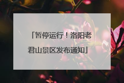 暂停运行！洛阳老君山景区发布通知