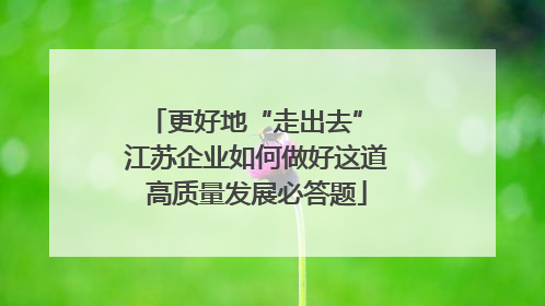 更好地“走出去” 江苏企业如何做好这道高质量发展必答题
