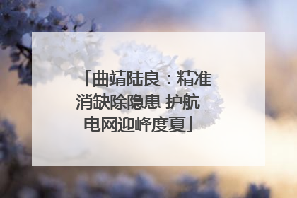 曲靖陆良：精准消缺除隐患 护航电网迎峰度夏