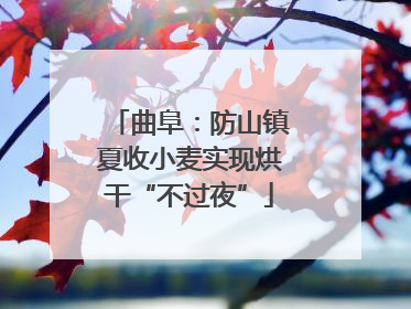 曲阜：防山镇夏收小麦实现烘干“不过夜”