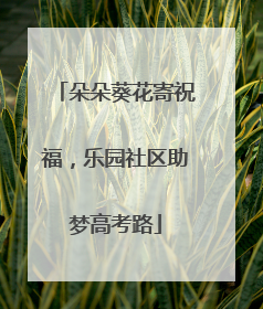 朵朵葵花寄祝福，乐园社区助梦高考路