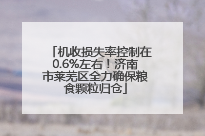 机收损失率控制在0.6%左右！济南市莱芜区全力确保粮食颗粒归仓