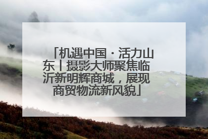 机遇中国・活力山东丨摄影大师聚焦临沂新明辉商城，展现商贸物流新风貌