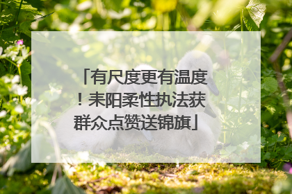 有尺度更有温度！耒阳柔性执法获群众点赞送锦旗