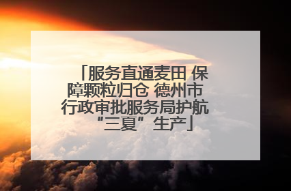 服务直通麦田 保障颗粒归仓 德州市行政审批服务局护航“三夏”生产