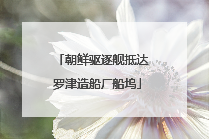 朝鲜驱逐舰抵达罗津造船厂船坞