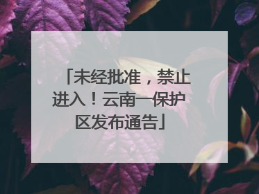 未经批准，禁止进入！云南一保护区发布通告