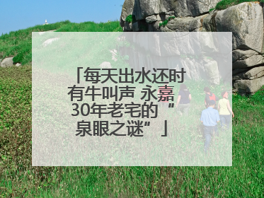 每天出水还时有牛叫声 永嘉30年老宅的“泉眼之谜”