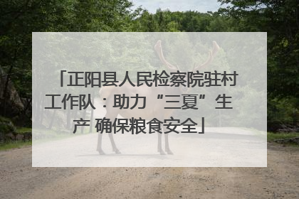 正阳县人民检察院驻村工作队：助力“三夏”生产 确保粮食安全